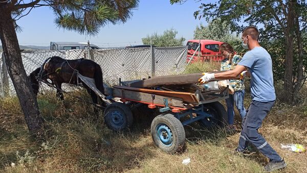 Edirne'nin Keşan ilçesinde bir köpeğe eziyet edildiğinin haberini alan yetkililer, mağdur köpeği teslim almak üzere olayın yaşandığı bölgeye gitti. Yol üzerinde şiddete maruz kalarak at arabası çekmeye zorlanan yaralı atı gören ekipler, iki hayvanı şiddet görmekten kurtardı. - Sputnik Türkiye