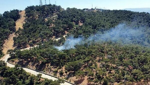 İzmir'de ormanlık alanda yangın - Sputnik Türkiye