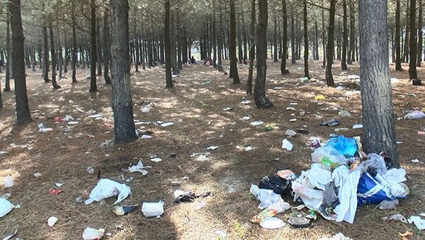 Piknikçilerden geriye çöp yığınları kaldı - Sputnik Türkiye