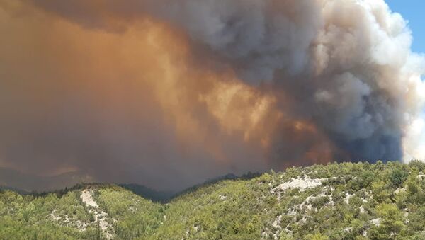 Manavgat'ta orman yangını - Sputnik Türkiye
