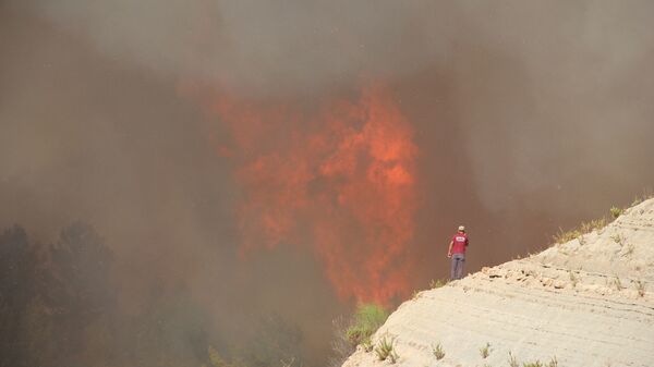 Orman yangını sırasında alevler 20- 30  metreye ulaştı. - Sputnik Türkiye
