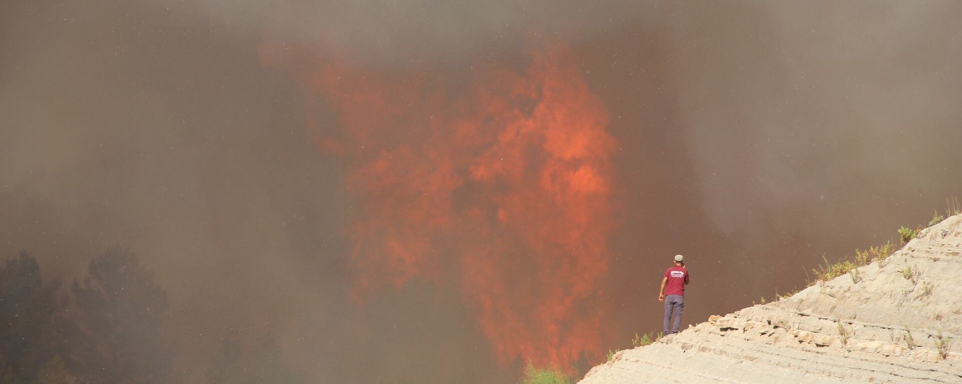 Orman yangını sırasında alevler 20- 30 metreye ulaştı. Orman yangını sırasında alevler 20- 30 metreye ulaştı. - Sputnik Türkiye, 1920