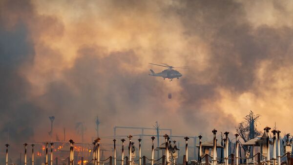 İtalya'nın Sicilya adası başta olmak üzere güney bölgeleri, orman ve kırsal alanlarda çıkan çok sayıdaki yangınla mücadele ediyor. - Sputnik Türkiye