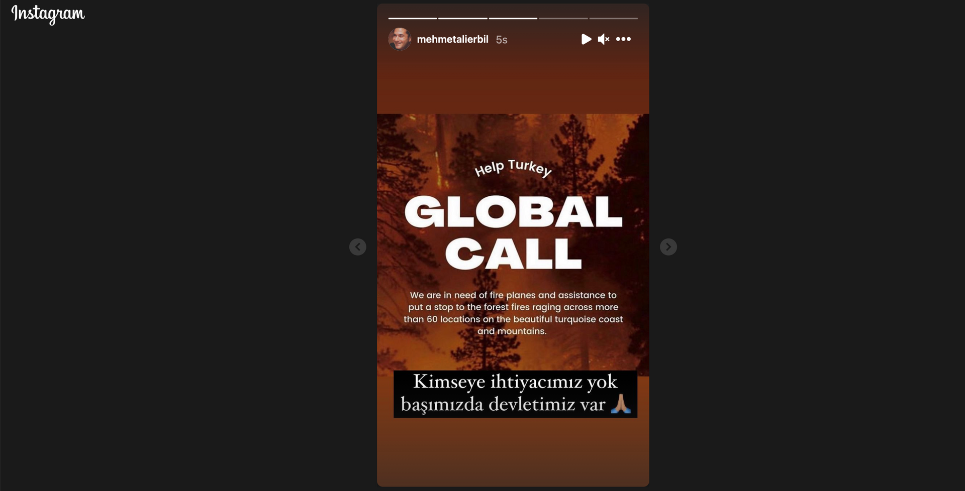 Şovmen Mehmet Ali Erbil, Instagram hesabından 'Help Turkey' paylaşımlarına ilişkin olarak açıklamada bulundu - Sputnik Türkiye, 1920, 10.08.2021