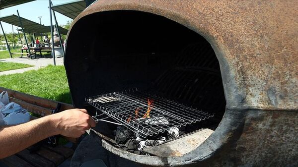 Mangal - Sputnik Türkiye
