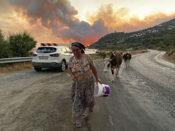 Bodrum'da yangının etkili olduğu Çökertme köyünden bir kare - Sputnik Türkiye