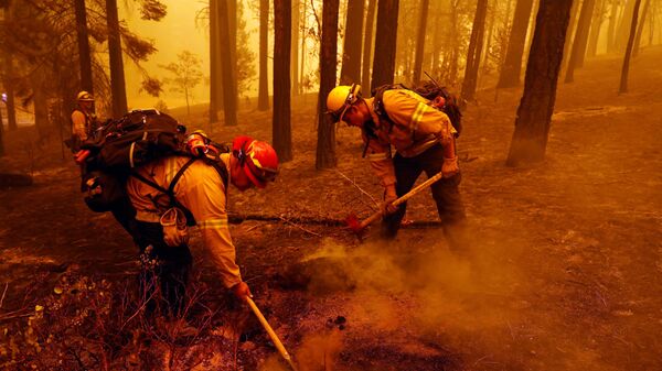 ABD'nin Kaliforniya eyaletinde son yılların en büyük orman yangınları devam ediyor, en az 8 kişinin yangın sebebiyle kayıp olduğu bildirildi. - Sputnik Türkiye
