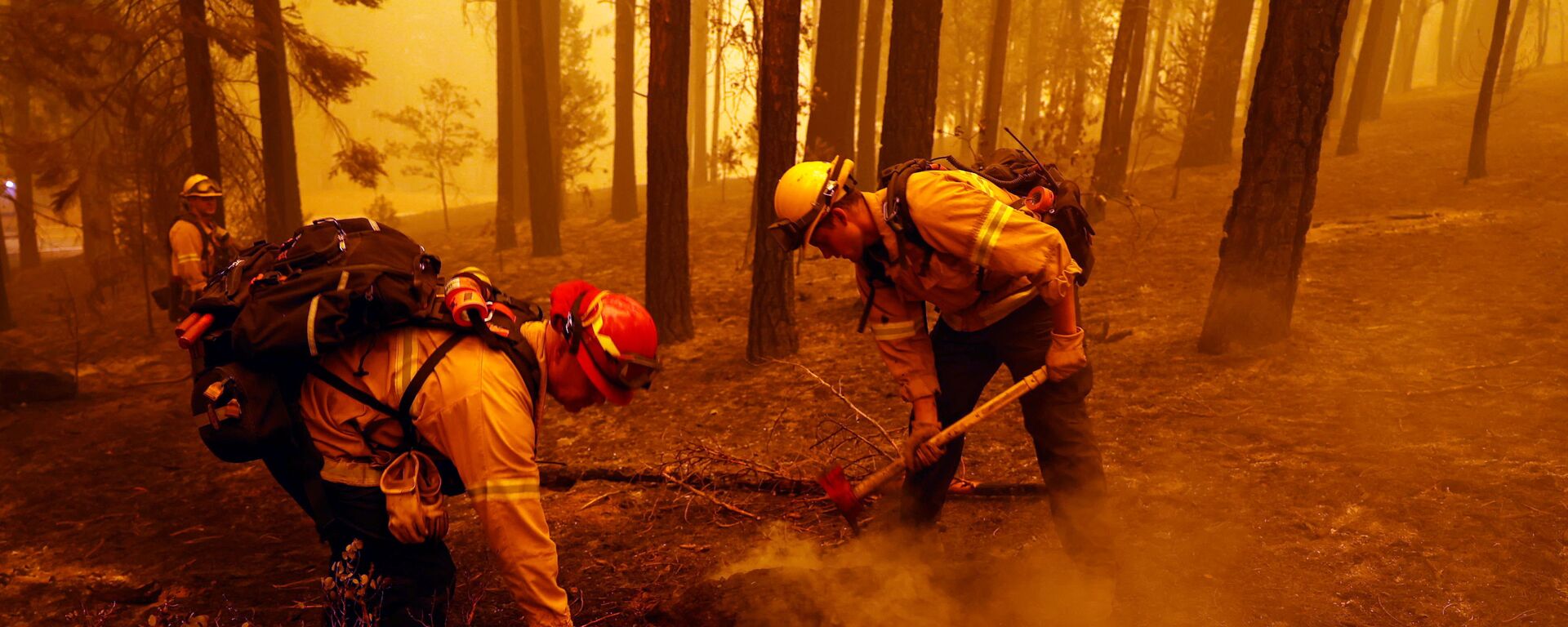 ABD'nin Kaliforniya eyaletinde son yılların en büyük orman yangınları devam ediyor, en az 8 kişinin yangın sebebiyle kayıp olduğu bildirildi. - Sputnik Türkiye, 1920, 07.08.2021