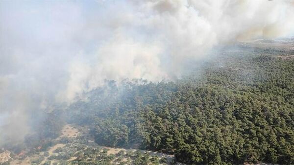 Foça'daki orman yangınına havadan ve karadan müdahale - Sputnik Türkiye