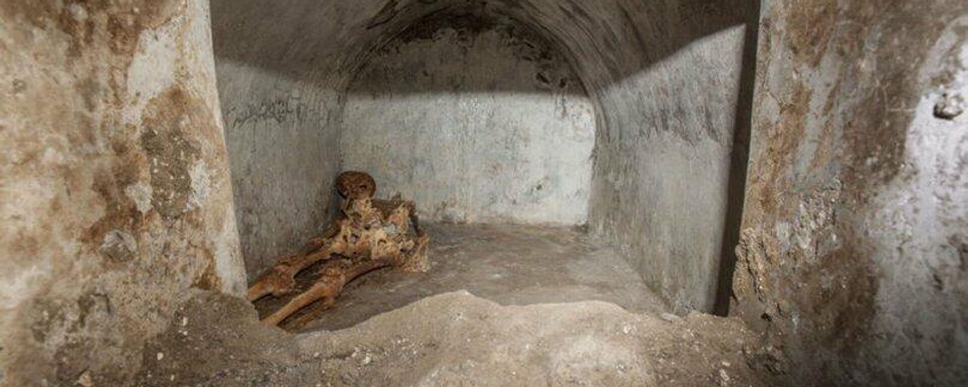 Antik Pompeii kentinde çok iyi korunmuş insan iskeleti bulundu - Sputnik Türkiye, 1920, 18.08.2021