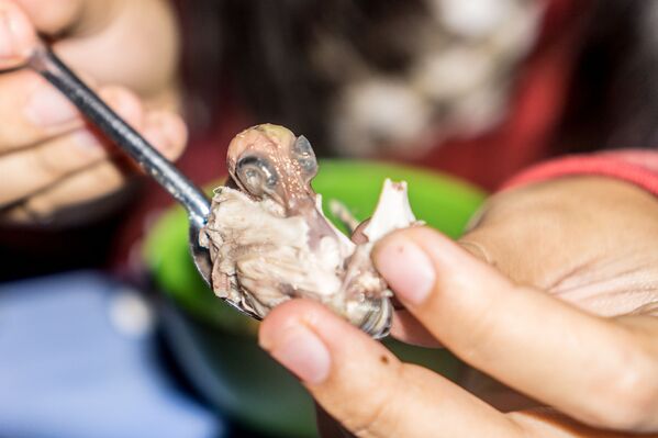 Dünyanın en iğrenç yemekleri - Sputnik Türkiye