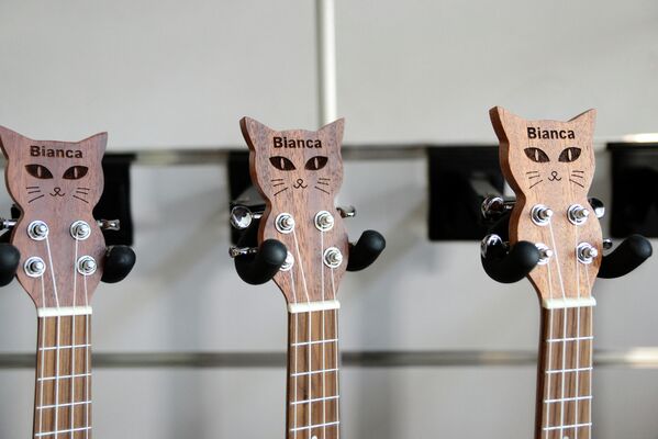 Kaybolan kedisinin anısına özel tasarımlı ukulele üretti - Sputnik Türkiye