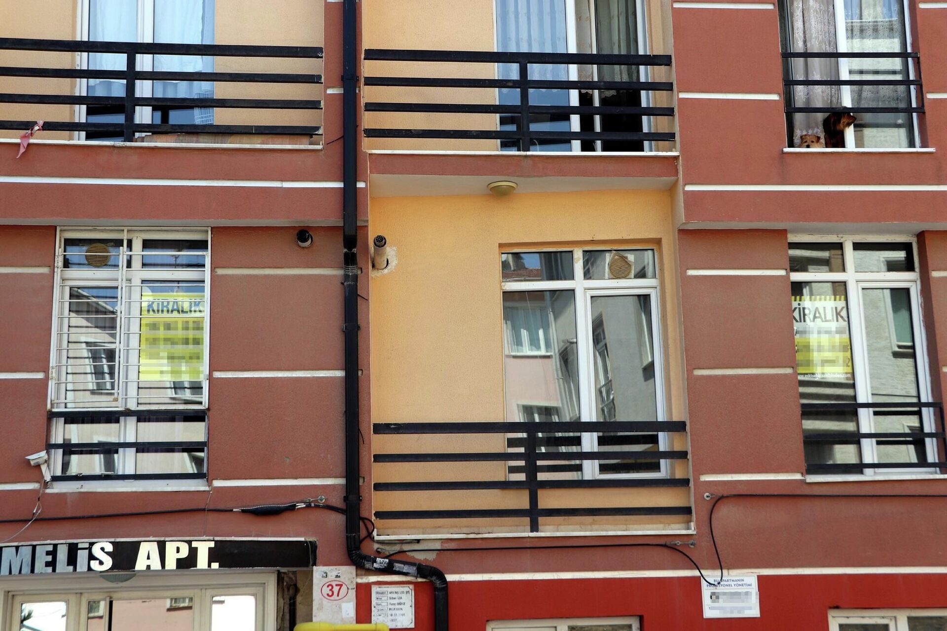 Eskişehir, ev, konut, kiralık evler - Sputnik Türkiye, 1920, 08.04.2025