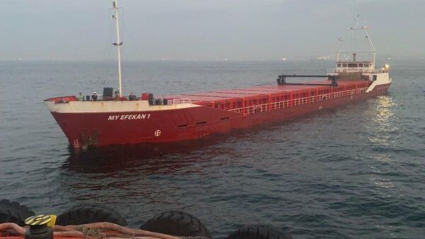 Boğaz'a giren konteyner gemisi arızalandı - Sputnik Türkiye