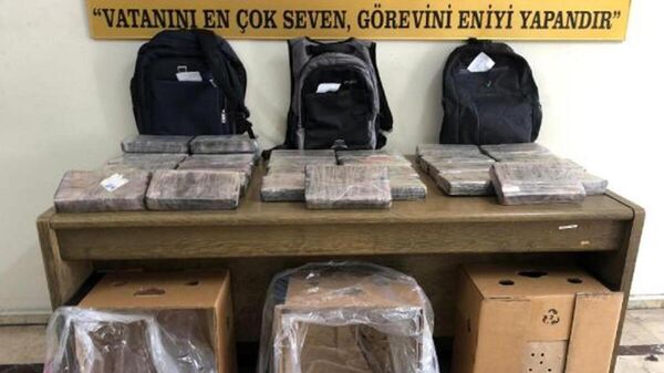 Mersin Limanı’nda muz yüklü konteynerden 30 kilo kokain çıktı - Sputnik Türkiye