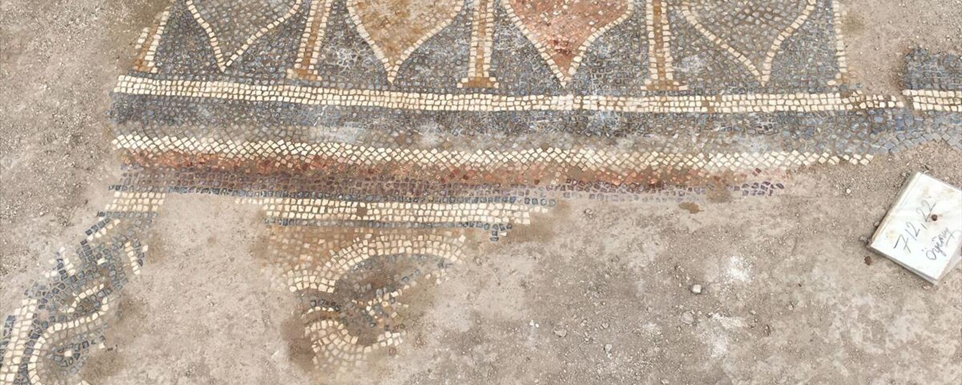 Samsun`da kurtarma kazısında ortaya çıkan kalp desenli mozaik müzede sergilenecek - Sputnik Türkiye, 1920, 02.09.2021