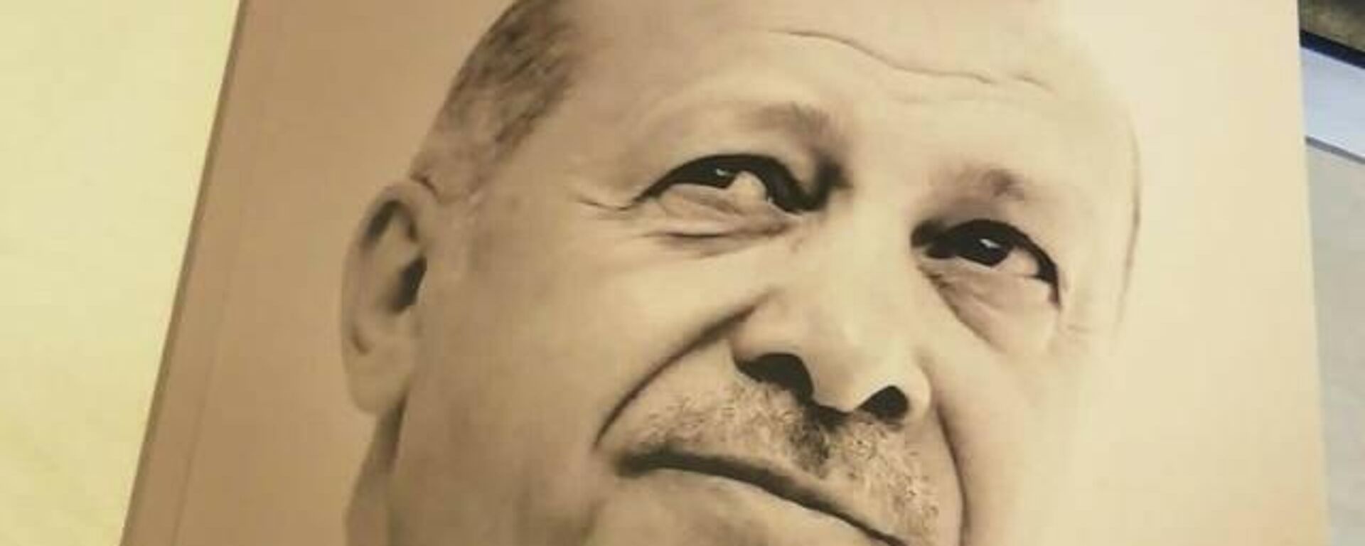 Cumhurbaşkanı Recep Tayyip Erdoğan'ın kitabı - Sputnik Türkiye, 1920, 05.09.2021