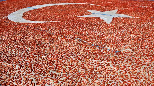Kurutmalık domateslerle ay yıldızlı Türkiye haritası - Sputnik Türkiye