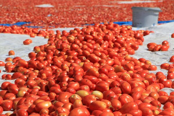 Kurutmalık domateslerle ay yıldızlı Türkiye haritası - Sputnik Türkiye