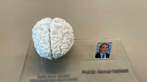  Prof. Dr. Sultan Tarlacı, 3 boyutlu yazıcı ile insan beyninin birebir kopyası - Sputnik Türkiye