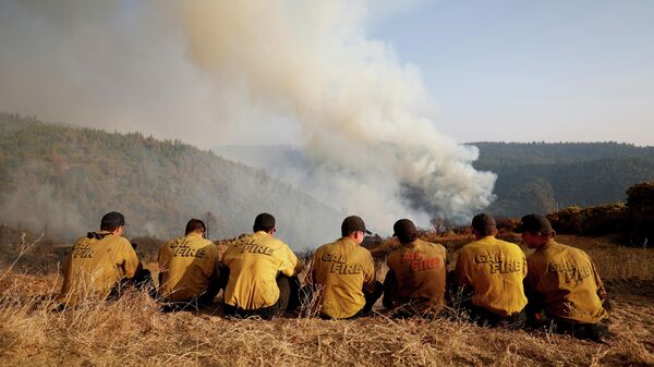 ABD'nin Kaliforniya eyaletinde orman yangını söndürme ekipleri - Sputnik Türkiye