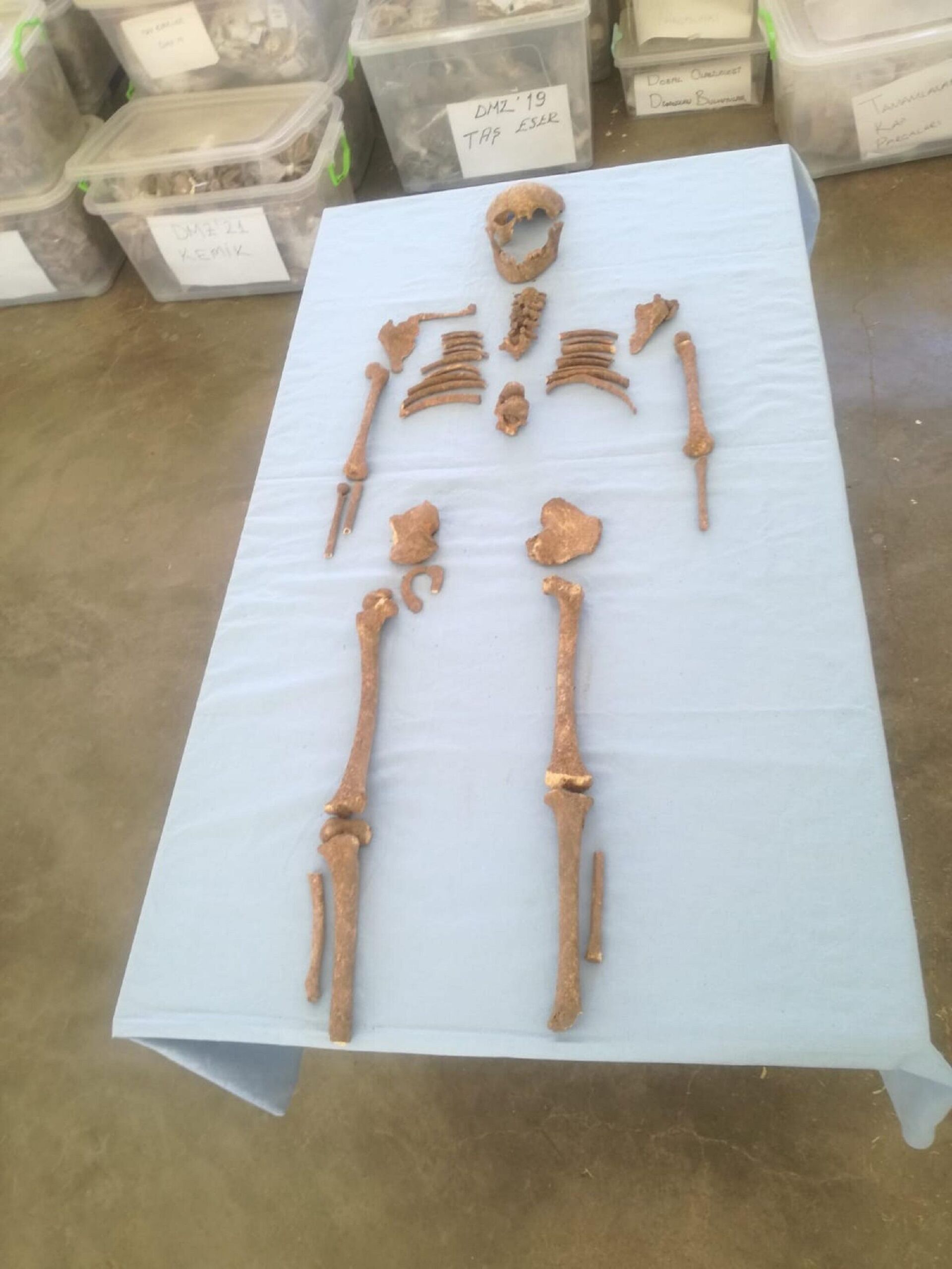 Domuztepe Höyüğü'nde Orta Çağ Dönemi'ne ait çocuk iskeleti bulundu - Sputnik Türkiye, 1920, 20.09.2021