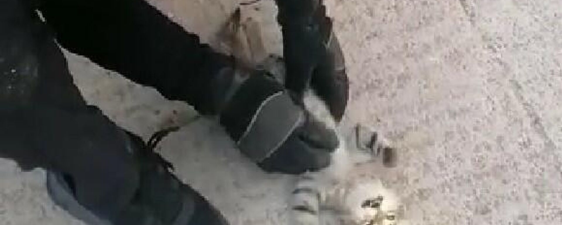 Kocaeli’nin Derince ilçesinde iki bina arasında sıkışarak kalbi duran yavru kedi, kendisini kurtaran itfaiye ekibinin kalp masajı ile hayata döndü. İtfaiye eri dakikalarca kalp masajı yaparak hayata döndürdüğü kediyi daha sonra elleriyle besledi. - Sputnik Türkiye, 1920, 26.09.2021