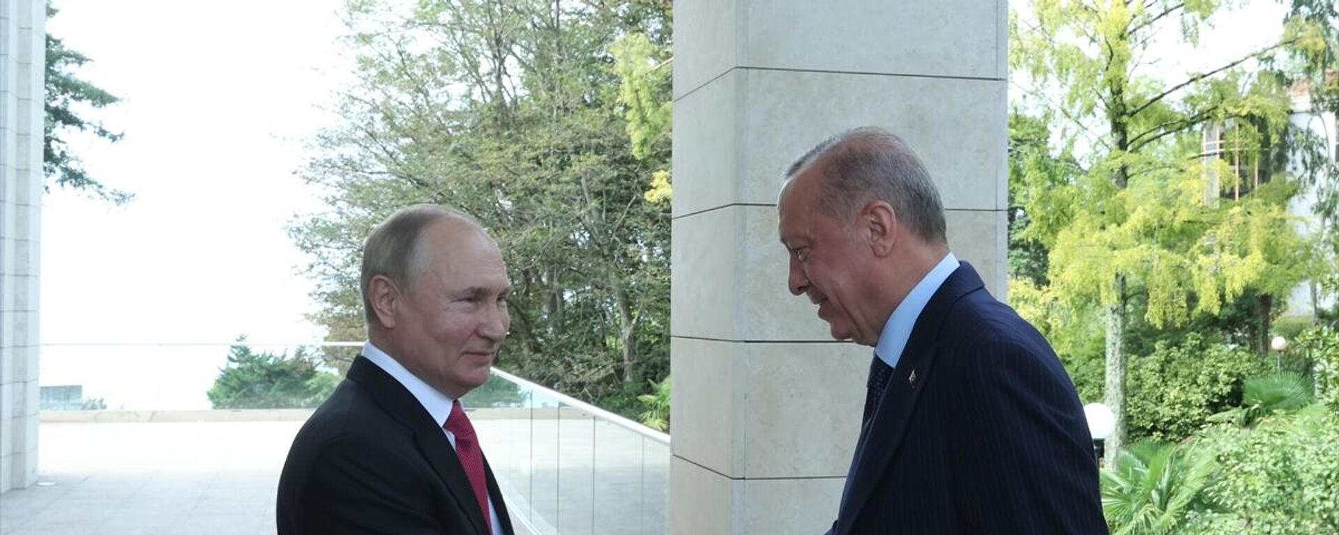 Türkiye Cumhurbaşkanı Recep Tayyip Erdoğan ve Rusya Devlet Başkanı Vladimir Putin, Rusya'nın Soçi kentinde bir araya geldi. - Sputnik Türkiye, 1920, 08.08.2022
