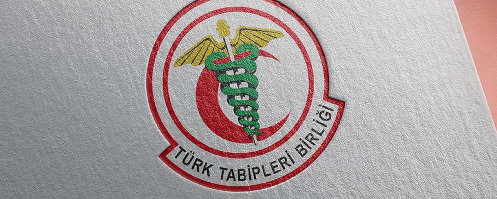 Türk Tabipleri Birliği  - Sputnik Türkiye, 1920, 19.10.2021