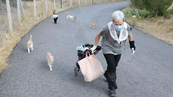 Her gün 200 sokak kedisini elleriyle besliyor - Sputnik Türkiye
