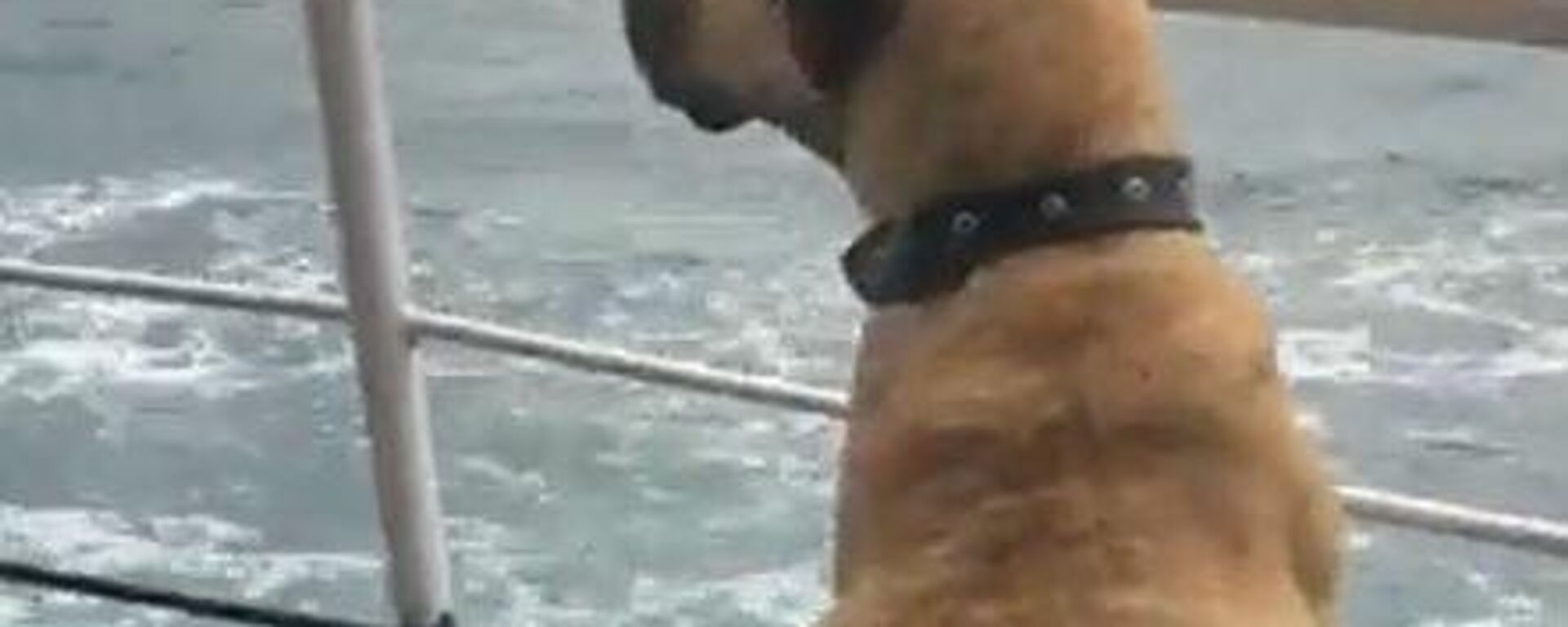 Boji - Sputnik Türkiye, 1920, 03.10.2021