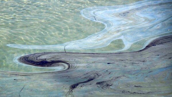 Meksika Körfezi açıklarındaki Deep Water Horizon'da 2010'da yaşanan yaklaşık 300 bin ton petrol sızıntısı, planktonlardan yunuslara kadar binlerce türün ölümüne yol açmıştı. - Sputnik Türkiye