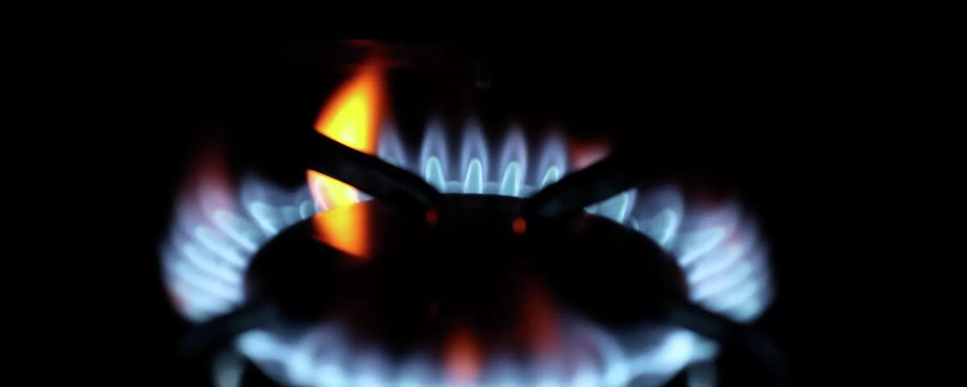 Doğalgaz - Sputnik Türkiye, 1920, 05.10.2021