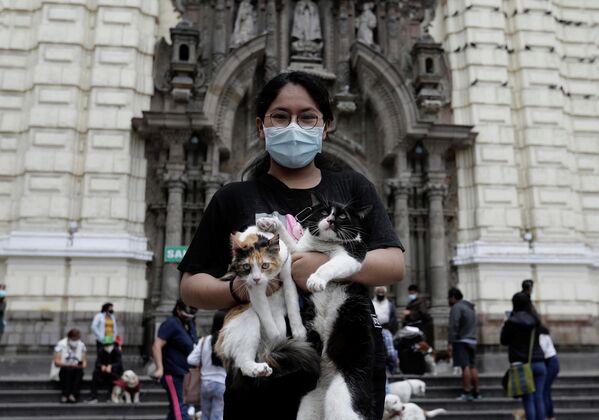 Peru&#x27;nun başkentiLima&#x27;da onlarca hayvan sahibi, &#x27;Hayvanlarını Kutsama&#x27; gününde evcil hayvanlarını vaftiz ettirmek için bir araya geldi. REUTERS/Angela Ponce - Sputnik Türkiye