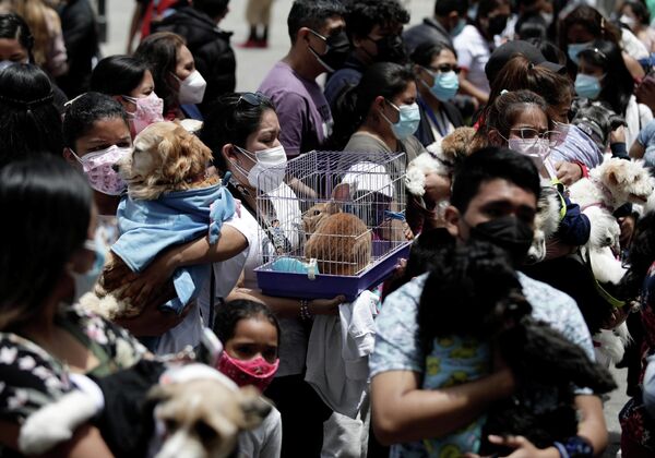 Lima’daki San Francisco Manastırı’nda kediler, köpekler ve tavşanlar kutsal su ile kutsandı. REUTERS/Angela Ponce - Sputnik Türkiye