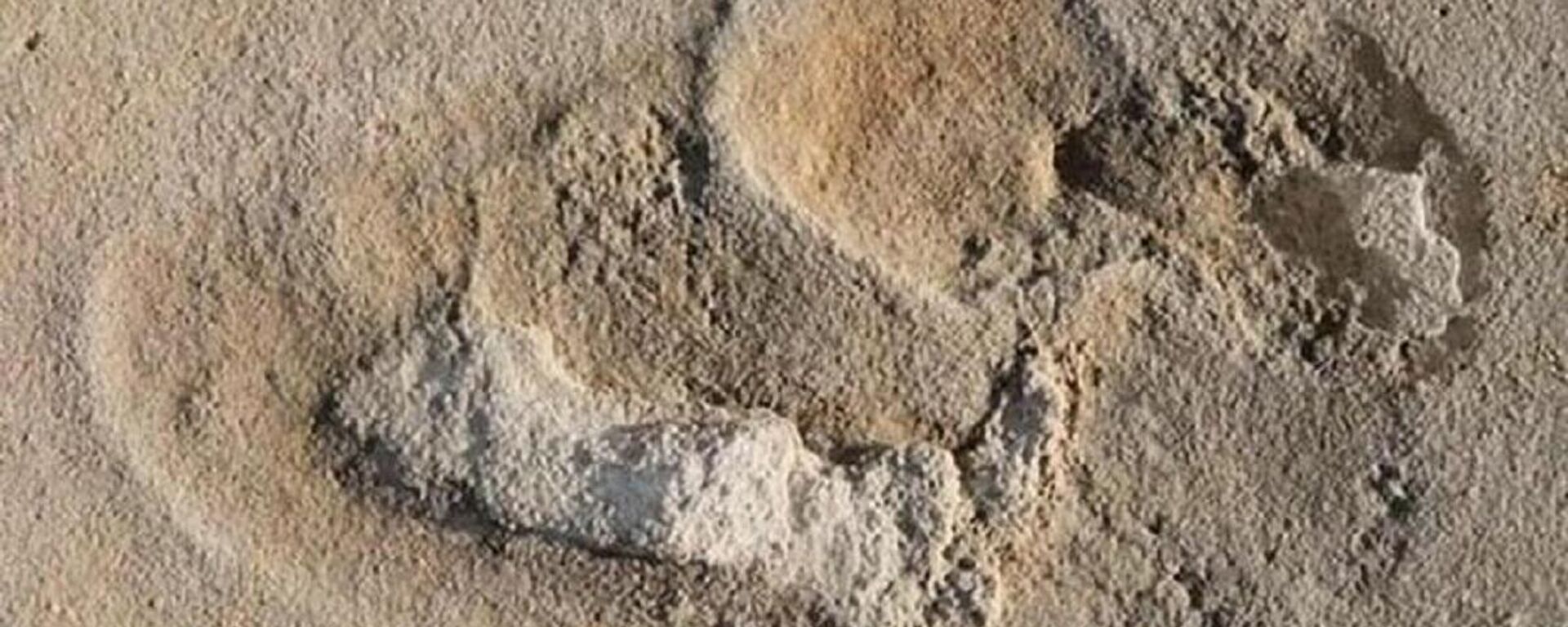 Önceki yıllarda Yunanistan'ın Girit Adası'nda keşfedilen 6 milyon yıllık ayak izlerinin insana benzer bir ayağa ait en eski izler oldukları tahmin ediliyor. - Sputnik Türkiye, 1920, 14.10.2021