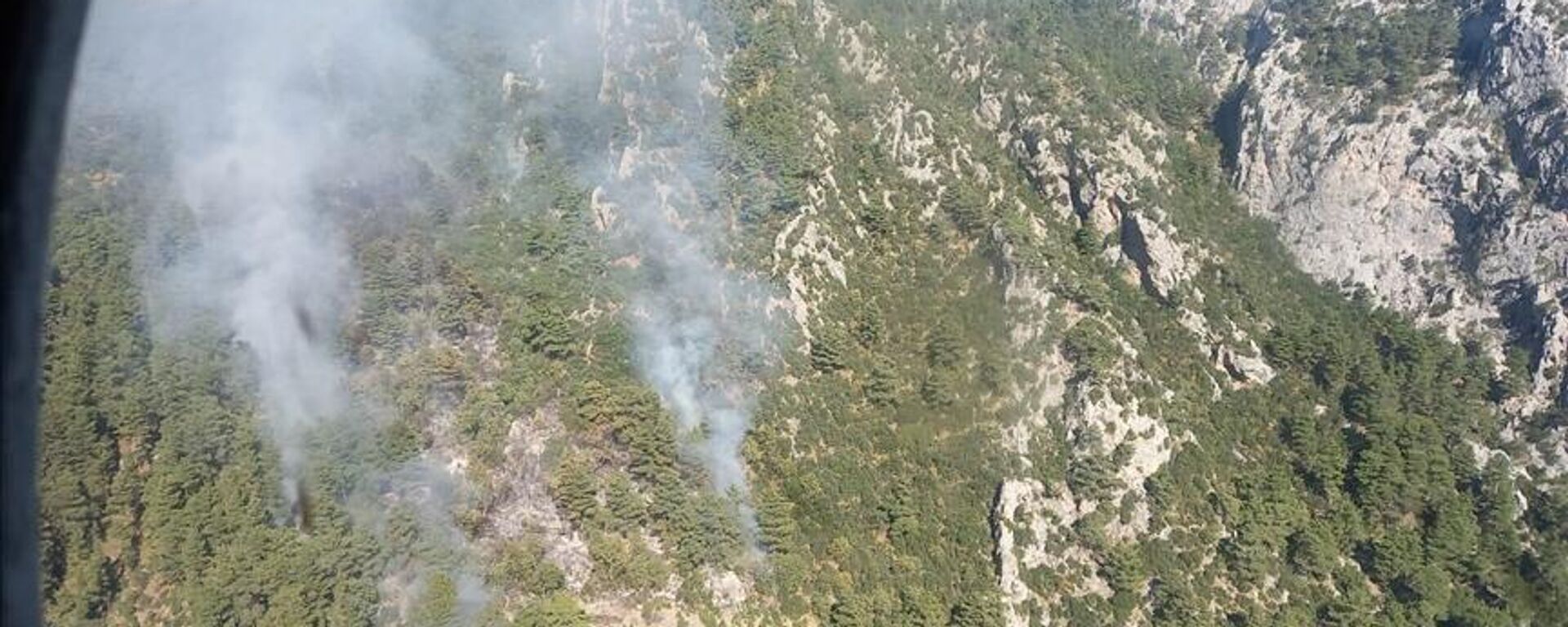 Antalya’da bir grup Rus turist, kasıtsız orman yangını çıkarma şüphesiyle gözaltına alındı - Sputnik Türkiye, 1920, 25.10.2021
