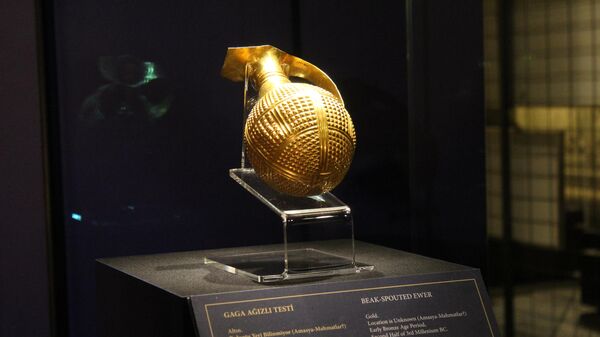 4 bin 250 yıllık altın gaga ağızlı testi - Sputnik Türkiye