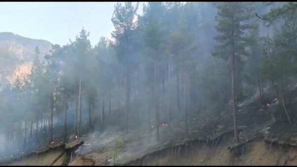 Adana'da orman yangını - Sputnik Türkiye