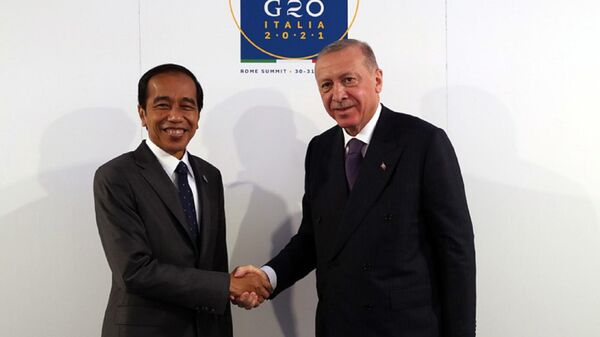 Cumhurbaşkanı Erdoğan, Endonezya Cumhurbaşkanı Widodo ile görüştü
 - Sputnik Türkiye