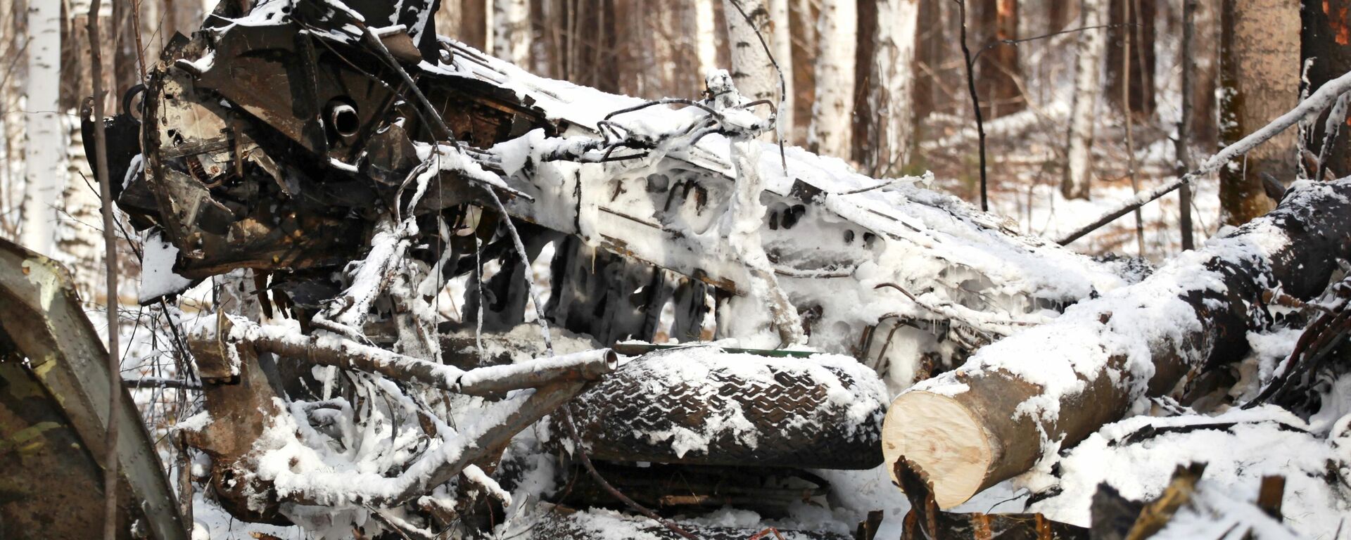 Rusya'da uçak kazası - Sputnik Türkiye, 1920, 02.04.2025