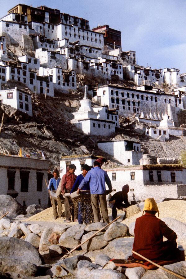 Tibet’te, Himalayalar’ın tepesinde yer alan Thiksey Manastırı  - Sputnik Türkiye