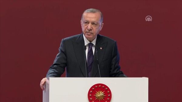 Cumhurbaşkanı Erdoğan: Kimse Türk Devletleri Teşkilatı'ndan rahatsız olmamalı - Sputnik Türkiye