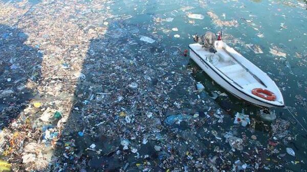  Rize'de İslampaşa Balıkçı Barınağı, çöpler - Sputnik Türkiye