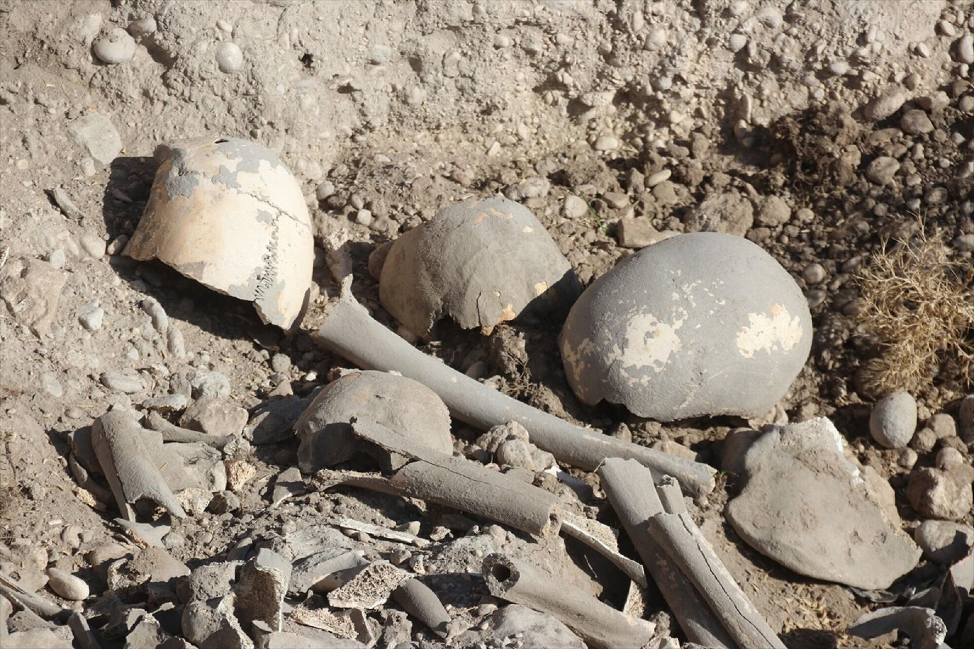 Van'ın Erciş ilçesinde, Demir Çağı'na ait olduğu tahmin edilen insan kemikleri, seramik ve çömlek parçaları bulundu.
 - Sputnik Türkiye, 1920, 16.11.2021