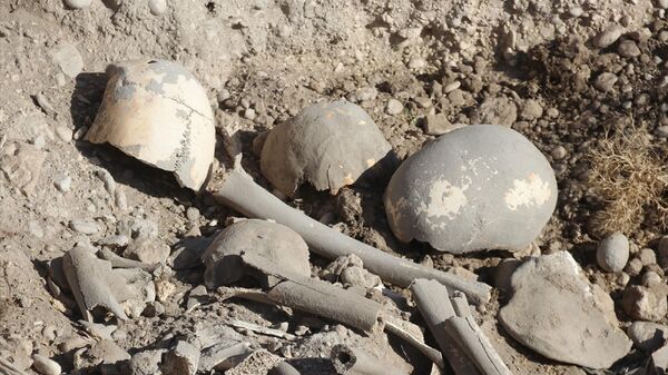 Van'ın Erciş ilçesinde, Demir Çağı'na ait olduğu tahmin edilen insan kemikleri, seramik ve çömlek parçaları bulundu.
 - Sputnik Türkiye