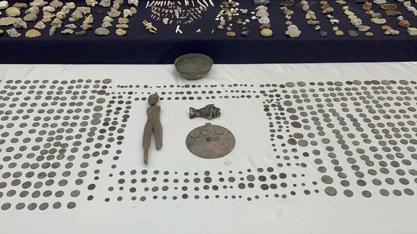 İstanbul'da bin 730 parça tarihi eser ele geçirildi
 - Sputnik Türkiye