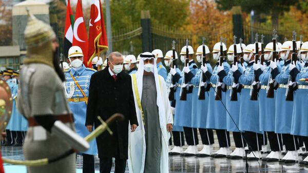 Cumhurbaşkanı Erdoğan, BAE Veliaht Prensi bin Zayed'i resmi törenle karşıladı - Sputnik Türkiye