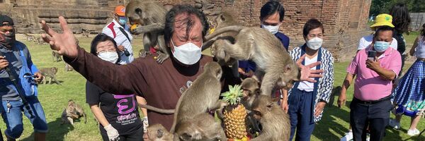 Tayland'da Maymun Açık Büfe Festivali  - Sputnik Türkiye