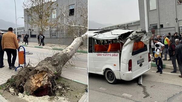 Bursa'nın Gürsu ilçesinde ise fırtına nedeniyle bir ağaç yoldan geçmekte olan yolcu minibüsünün üzerine düştü. Minibüsteki 2 yolcu yaralandı. - Sputnik Türkiye